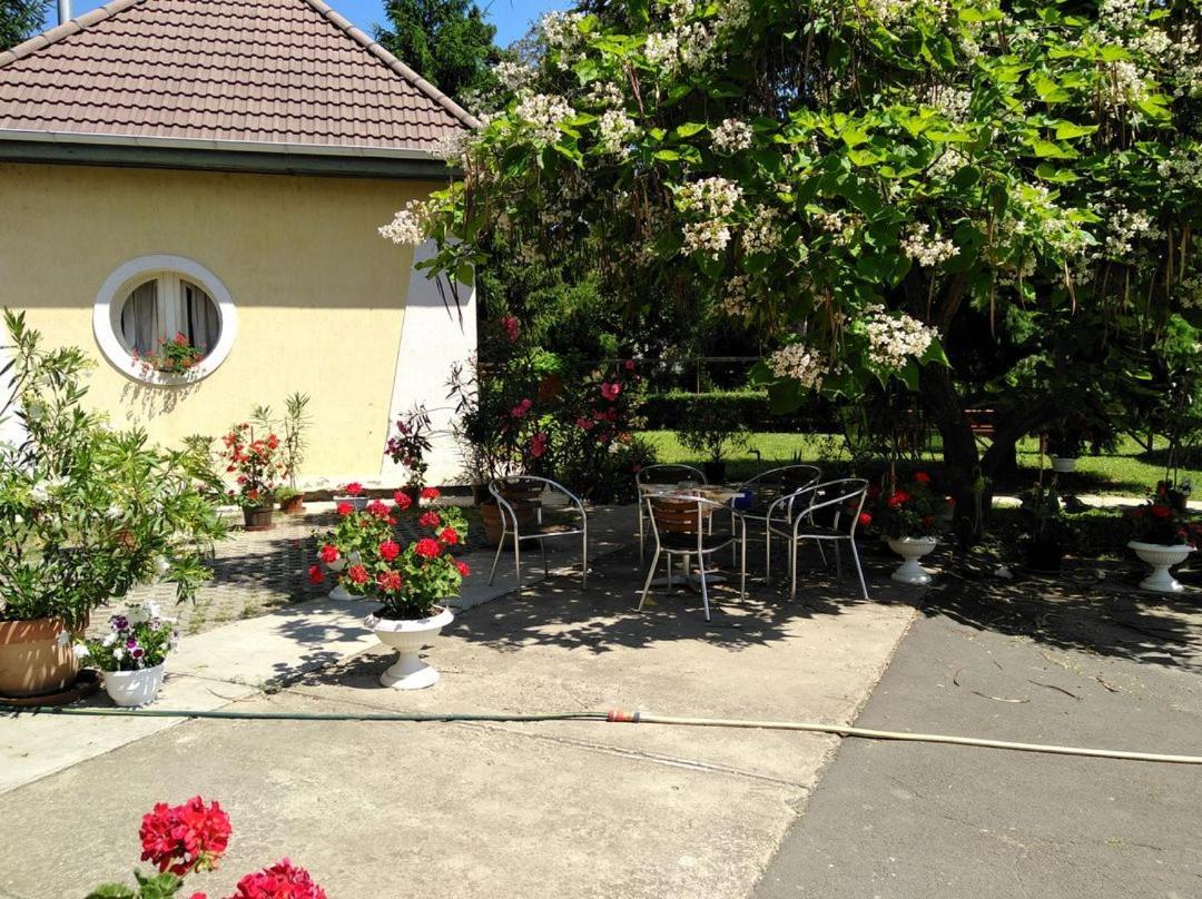 Harang Panzio Bed & Breakfast Gyomaendrod Ngoại thất bức ảnh
