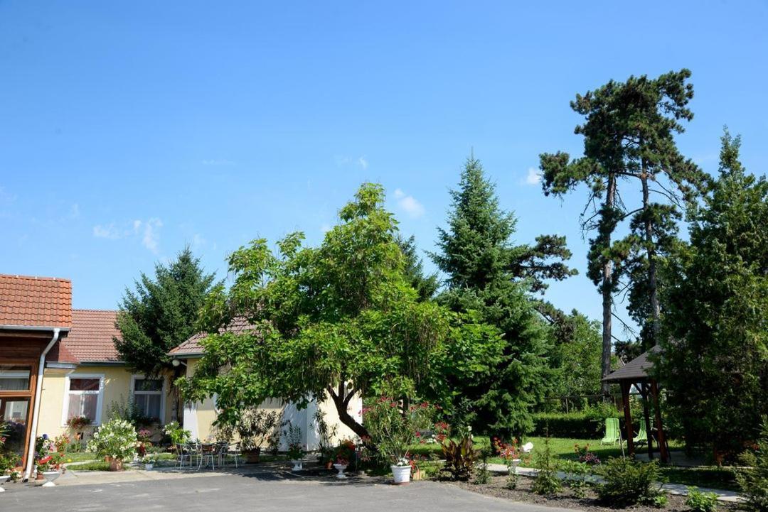 Harang Panzio Bed & Breakfast Gyomaendrod Ngoại thất bức ảnh